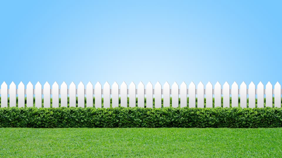 Garden Fence